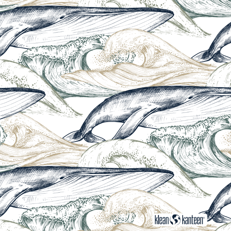 20oz-tkwide-with-twist-cap-ocean-day-i4 20oz_tkwide_bottle_seasonal_ocean_day_whale_artwork_square.png